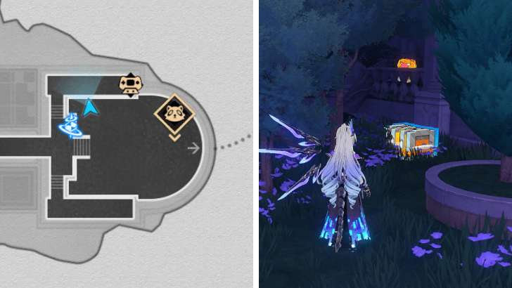 HSR Fallen Star