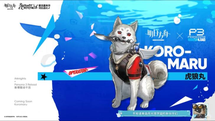 Koromaru Operator for the Arknights x Persona 3 Reload Collab