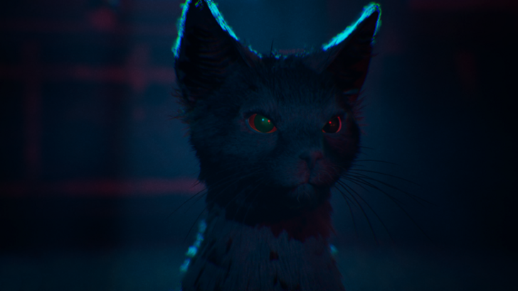 Aaron as a cat