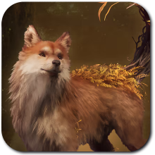 Brown Shiba Skin