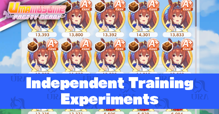 Independent Training Experiments