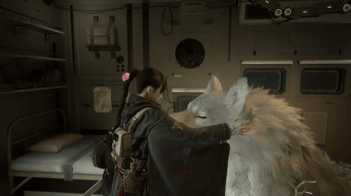 Petting Koo