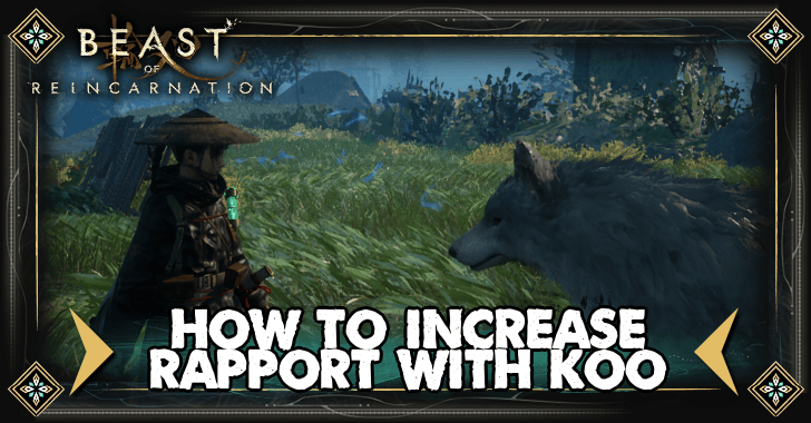 How to Increase Rapport With Koo.png