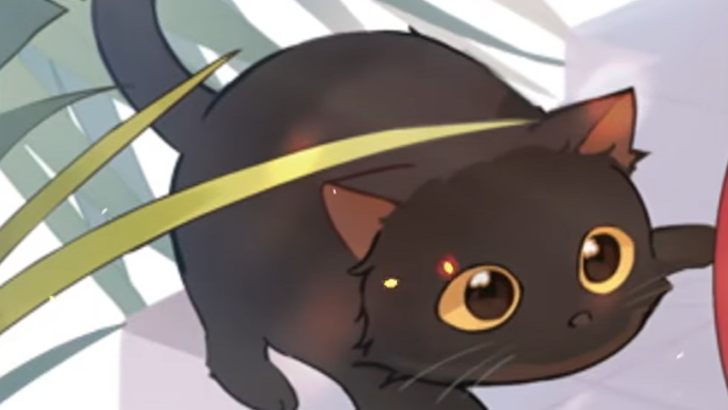 closers cat summer party