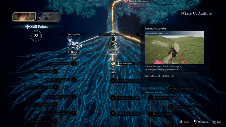 Shakuyaku Skill