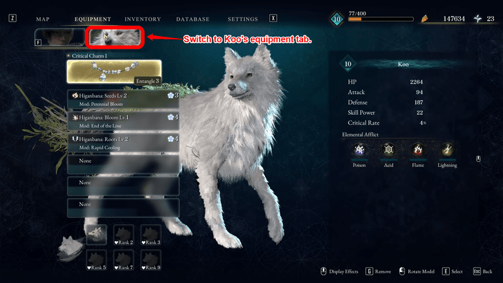 How to Find Koo Equipment
