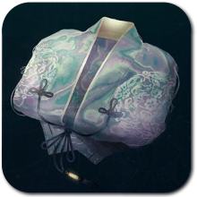 Ornate Robe Icon