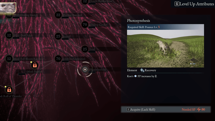 Photosynthesis