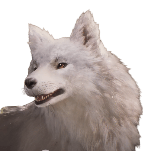 Koo