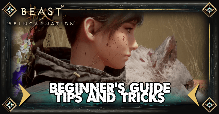 Beginner Guide Tips and Tricks
