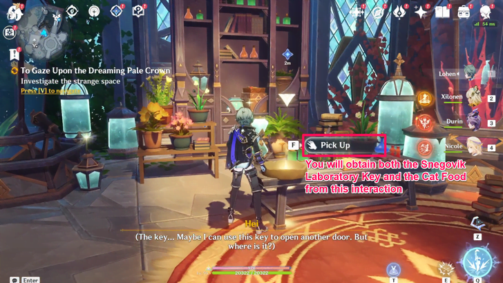 To Gaze Upon the Dreaming Pale Crown - Pick Up the Snegovik Laboratory Key and Cat Food