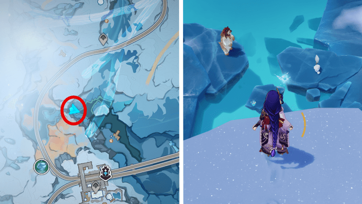 Cryoculus 21