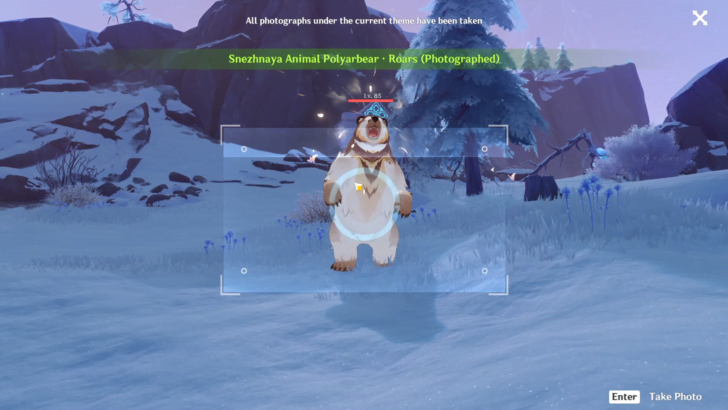 Polyarbear Photographed
