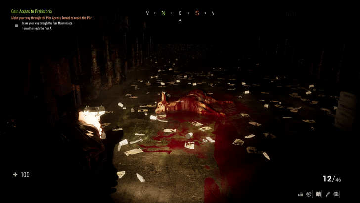 dead animal in the dark