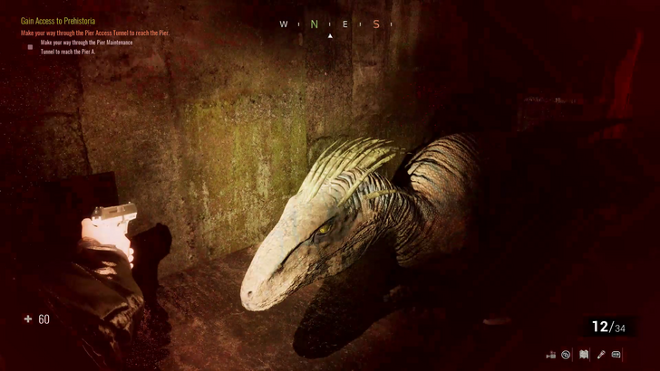 raptor in the dark