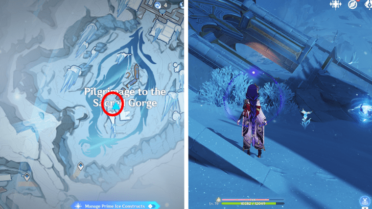 Frostfairy Flower 69