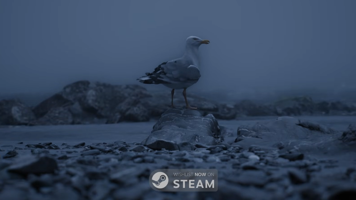 bird perched on rock with steam wishlist logo at the bottom