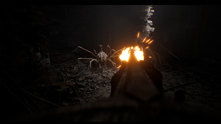fps shooting at a spider