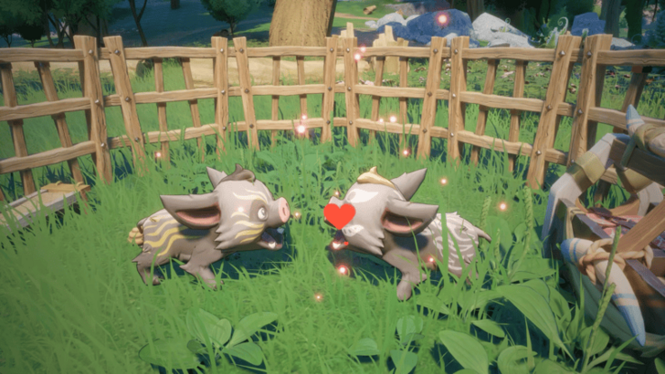 Marked pigs breeding