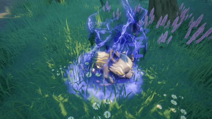 Sleeping marked pig