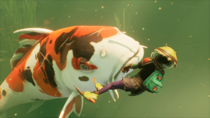 A giant koi fish