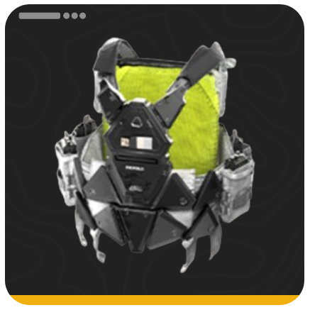 AIC Fieldwork Assault Armor