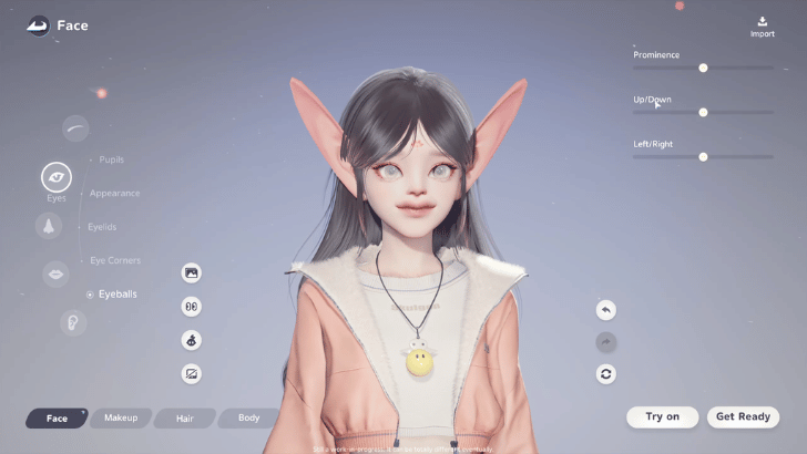 Optional Detailed Customization