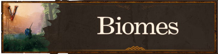 Valheim - Biome Banner 2.png