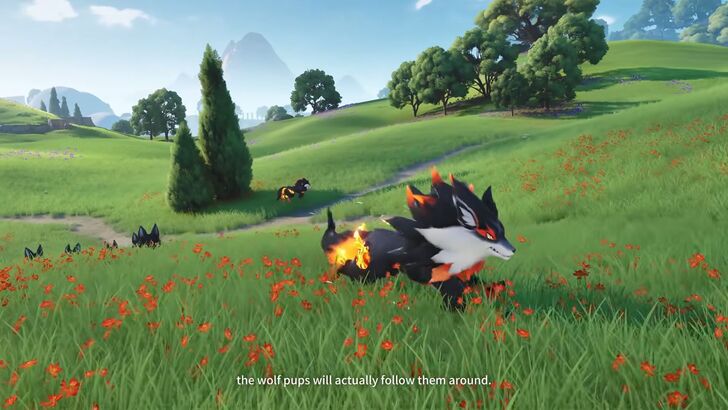 Emberpups Running in Field