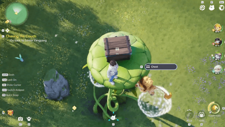 Nimbus Fields Chest 1