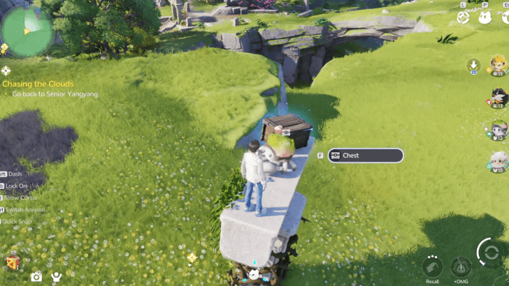 Nimbus Fields Chest 2