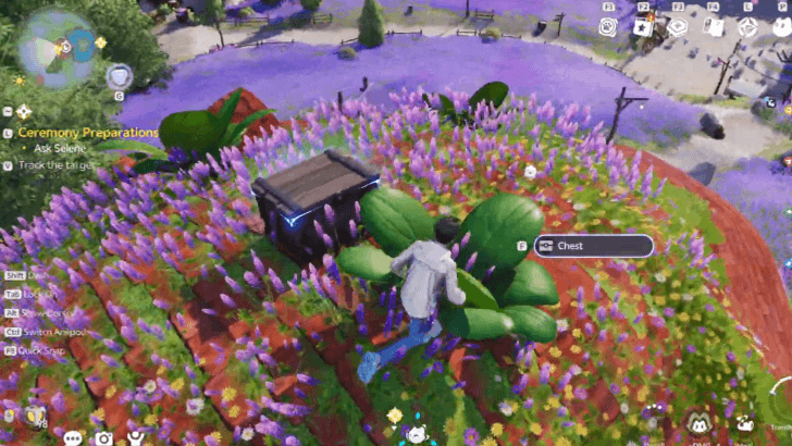 Sea of Flowers Chest 1