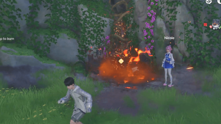 Burn the Branch
