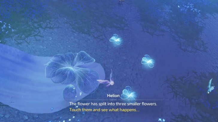 Flowers