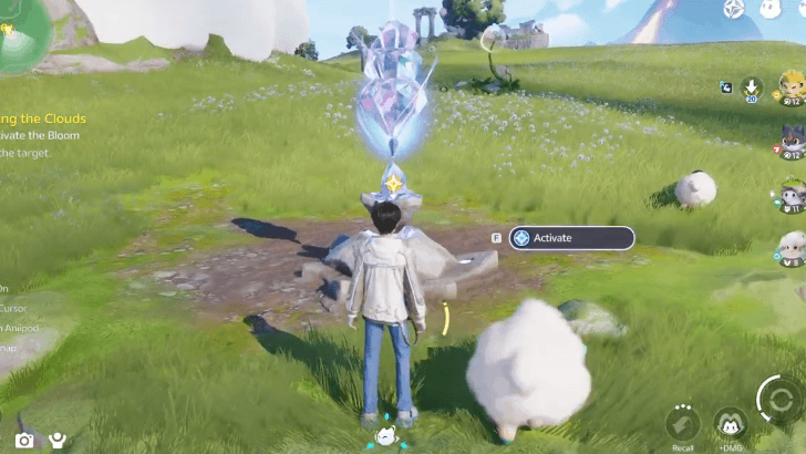 Bloom