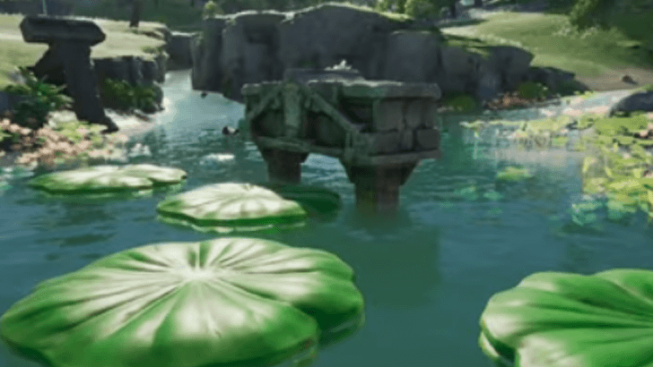 Water Lily