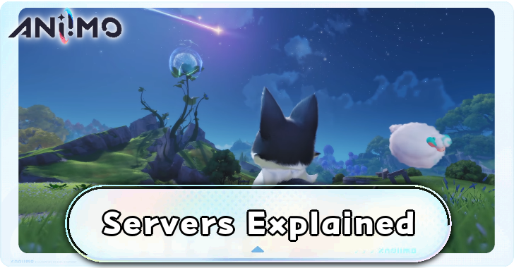 Aniimo Servers Explained