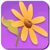 Bloomville Invitation Gift Icon