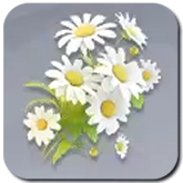 Lunar Daisy Icon
