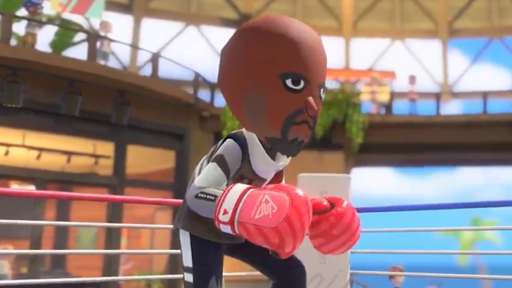nintendo switch sports resort matt