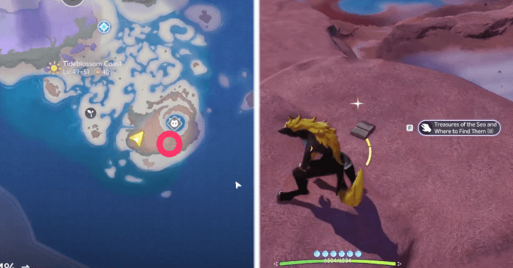 Treasures of the Sea and Where to Find Them II