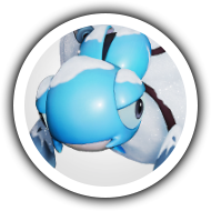 Snowfield Baleetle