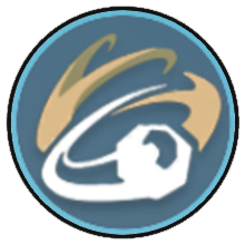 Sandstorm Spin Icon