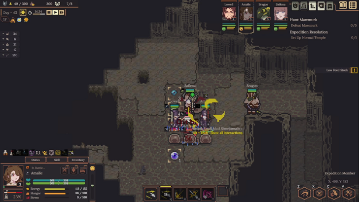 dungeon settlers paused dungeon combat