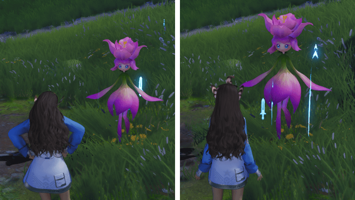 Alpha Aniimo Comparison