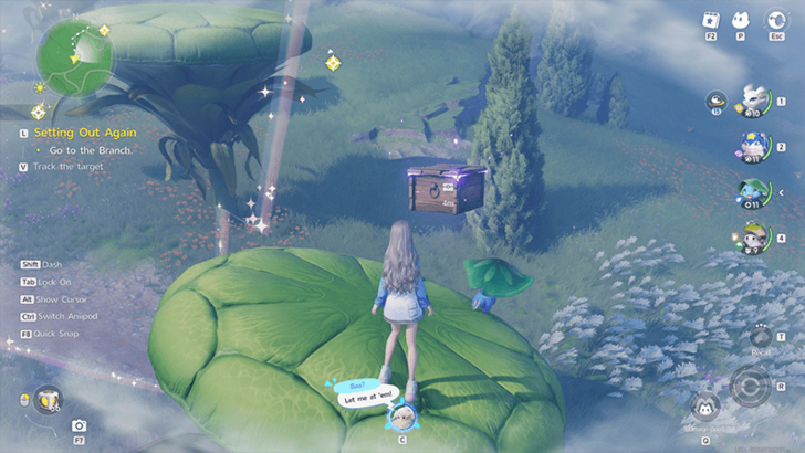 Nimbus Fields Chest 6