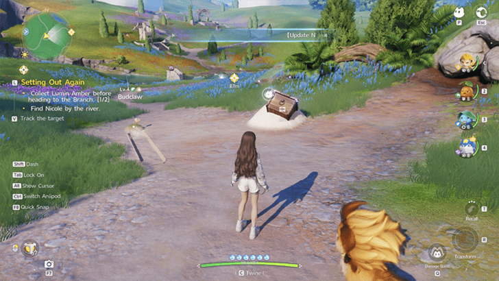 Nimbus Fields Chest 10
