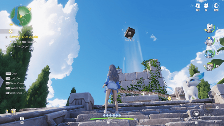 Nimbus Fields Chest 7