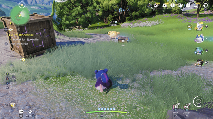 Nimbus Fields Chest 13