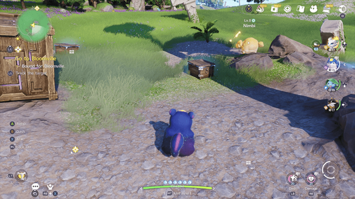 Nimbus Fields Chest 12